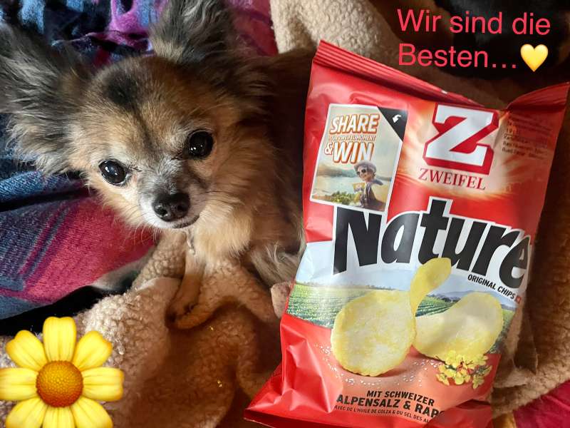 Dinah Olivia.H., zu Hause