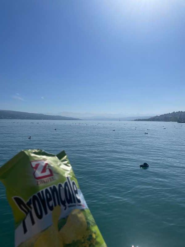 Philipp.R., Landiwiese Wollishofen