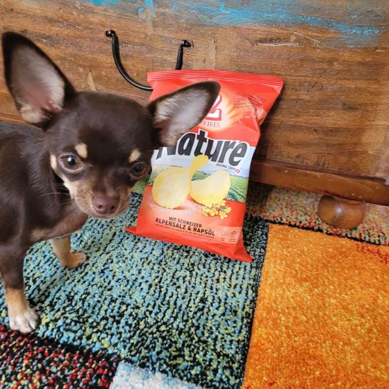 Tabea.R., 8320 Arbon bei mir zuhause