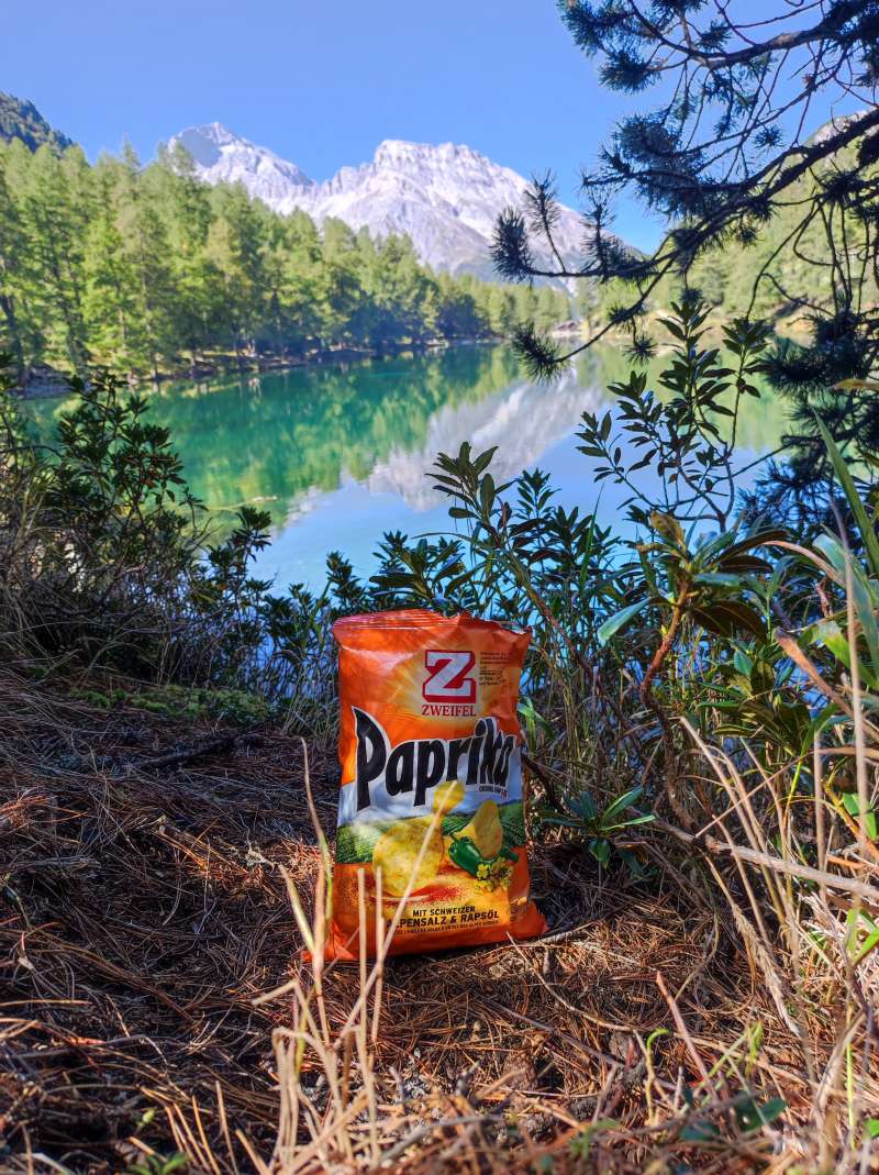 Silvia.R., Palpuognasee