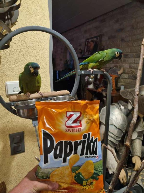 Killian.D., Molondin