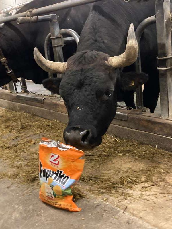 Valentine.D., À la ferme...