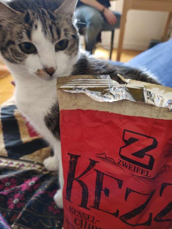 Melissa.O., Geneva at a rainy day