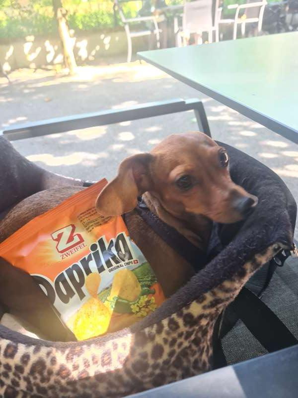 Jacqueline.G., Olten