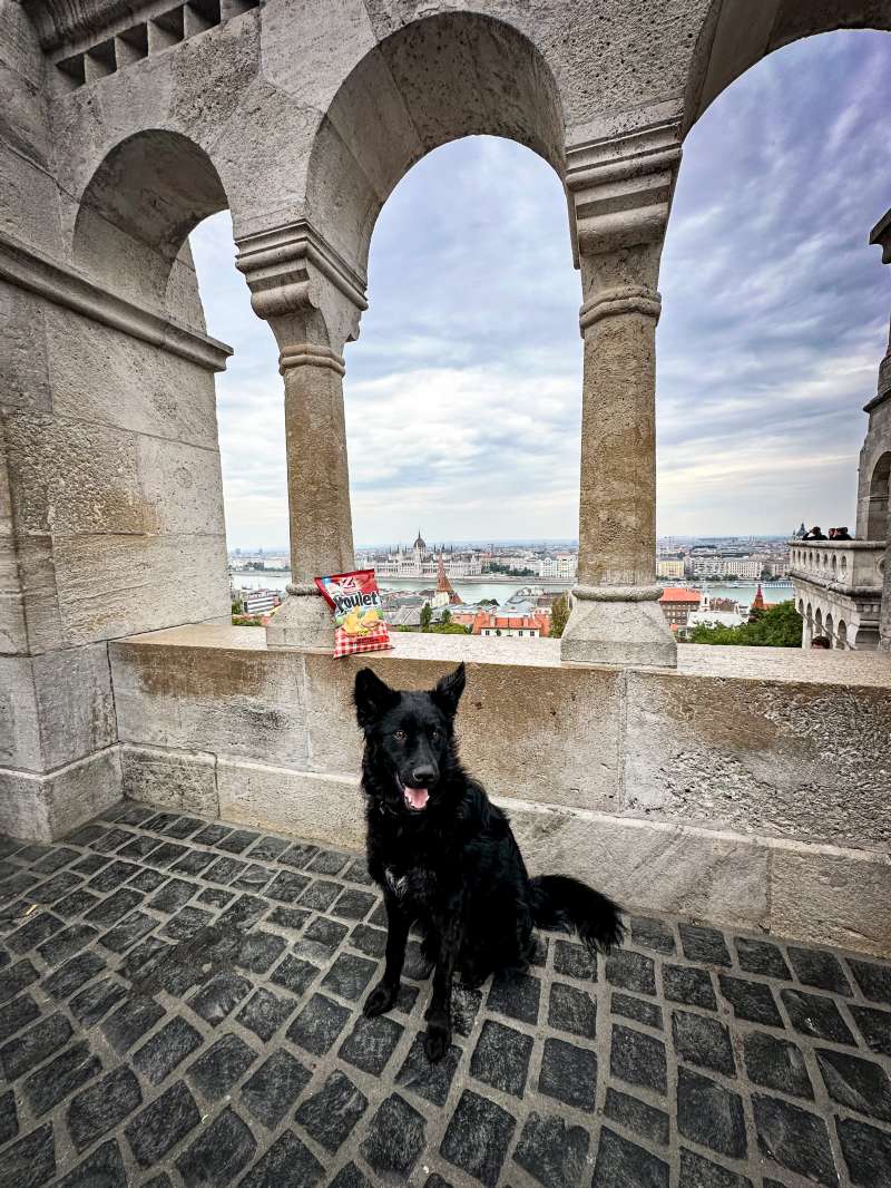 Réanne.E., Budapest, Fischerbastei