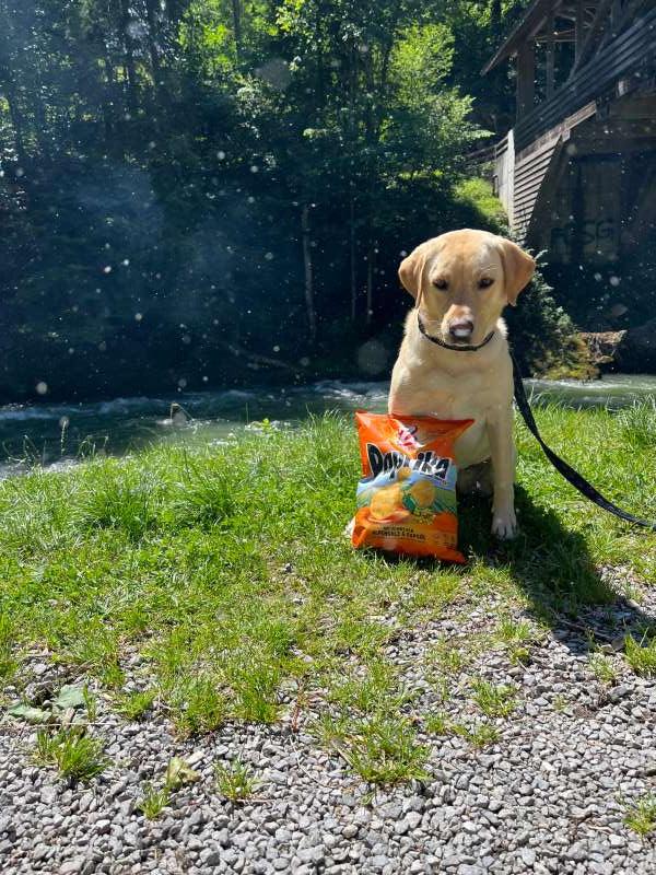 Jasmin.S., Ebnat-Kappel