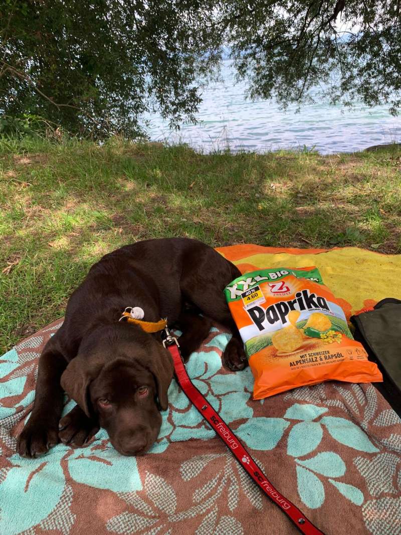 Marc-Joel.W., Goldach, Bodensee