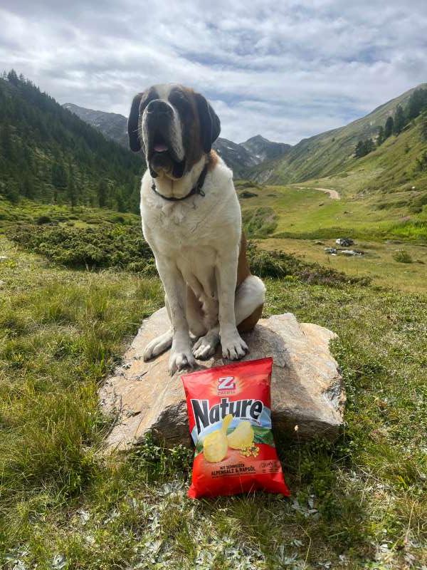 Andrea.A., Saflischtal