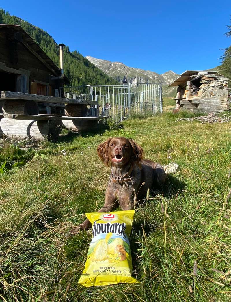 Sascha.P., Sicky Moos