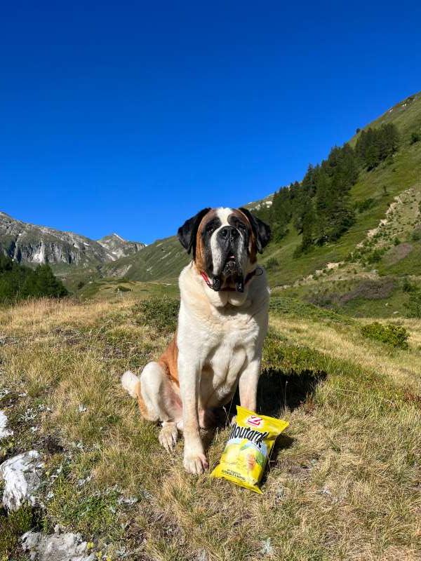 Andrea.A., Saflischtal