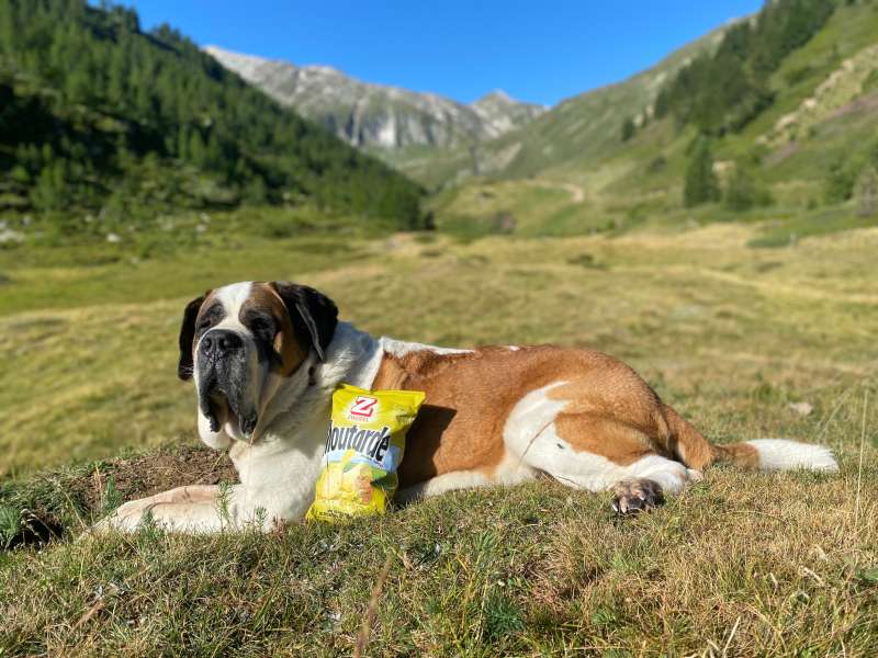 Sascha.P., Sicky Moos