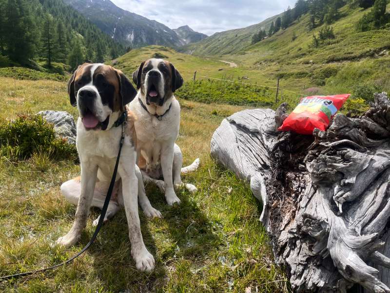 Andrea.A., Saflischtal