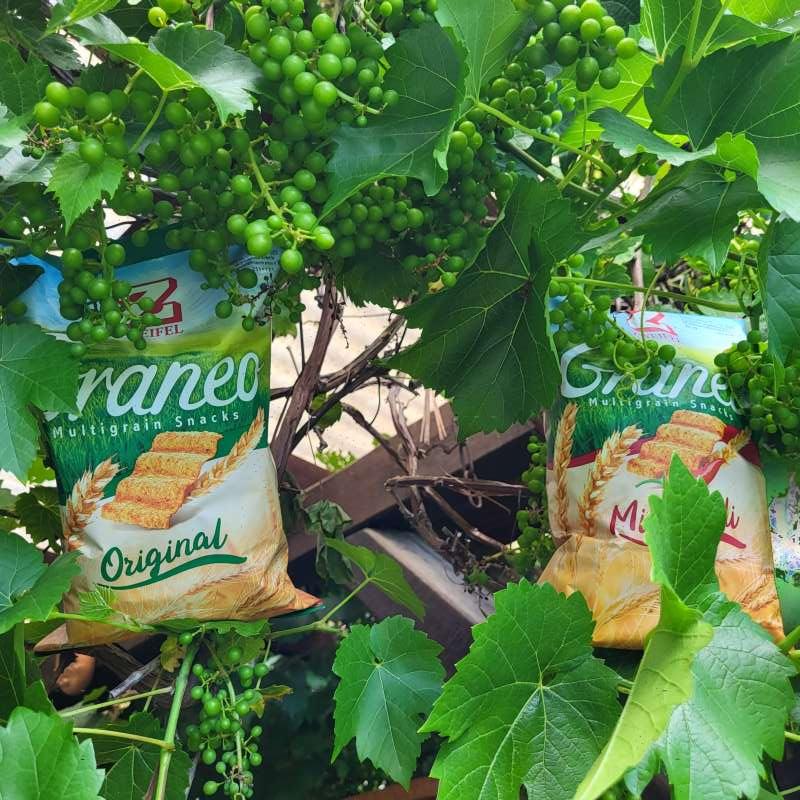 Silvio.S., R.S.Bazenheid