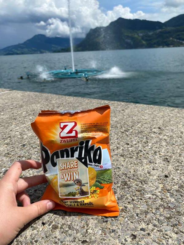 Violeta.S., Glasi Hergiswil