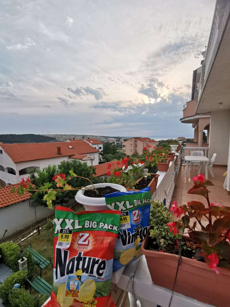 Ružena Sofia.S., Insel Rab