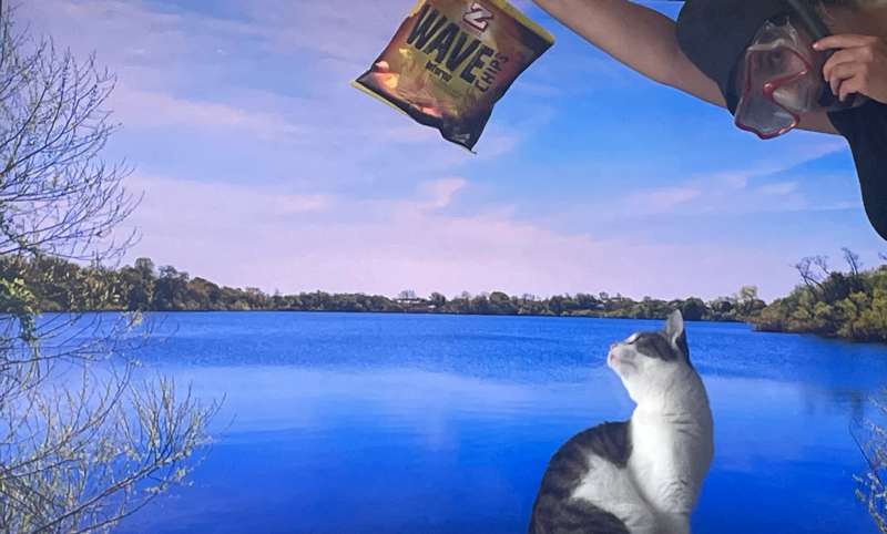 Andrea.S., Zurich Home Sweet Home