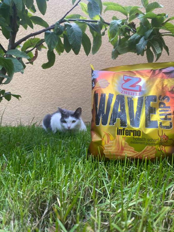 Gabriel.M., Albisrieden, Zürich