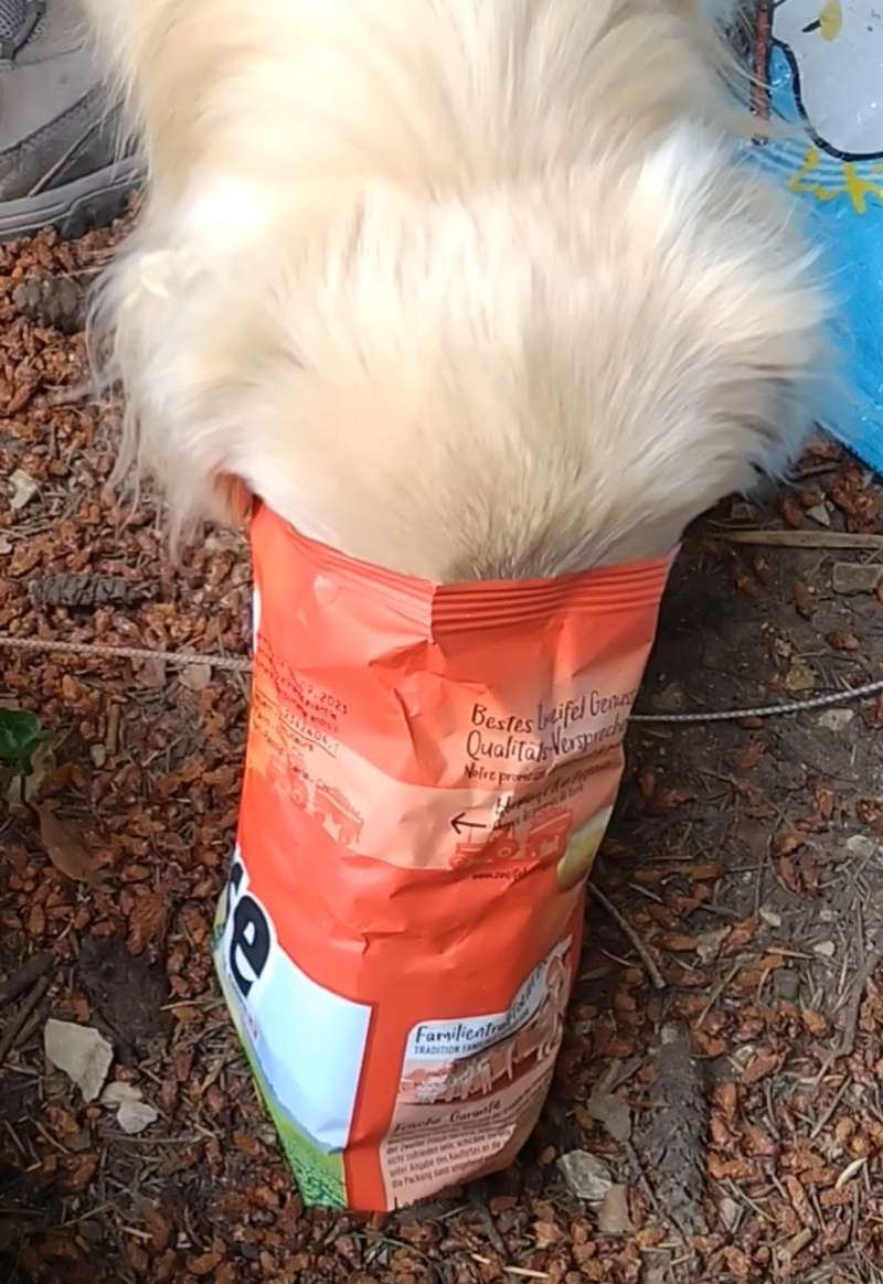 Laurent.D., Le Landeron, Neuchâtel