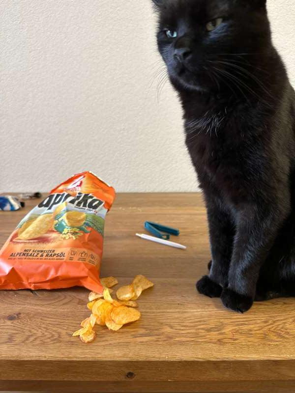 Marlo.A., Interlaken