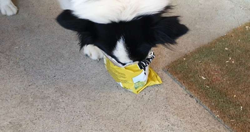 Doris.W., Zu Hause beim Grillieren