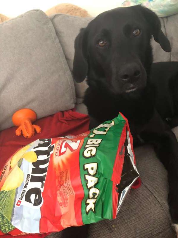 Samantha.S., Zürich