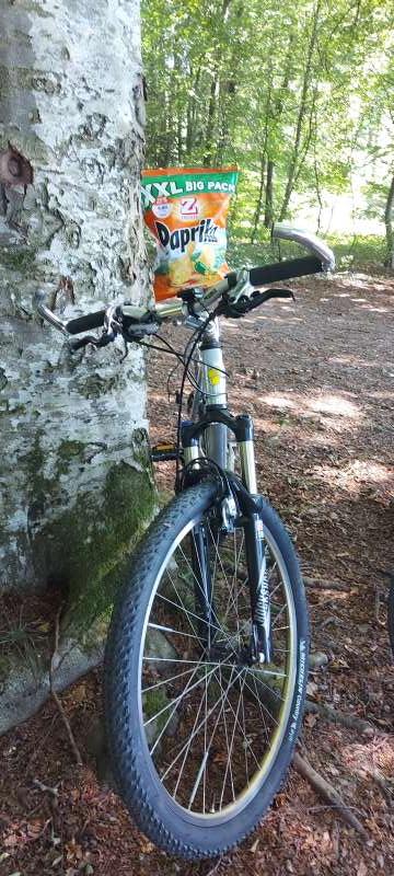 Franz.H., Wald in Biberist