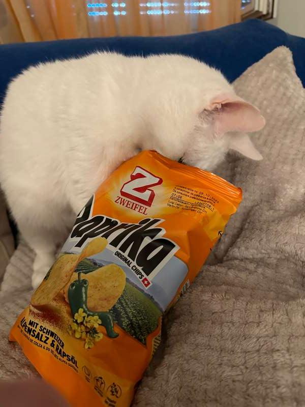 Hannalore.J., mit meinem Kater auf dem Sofa