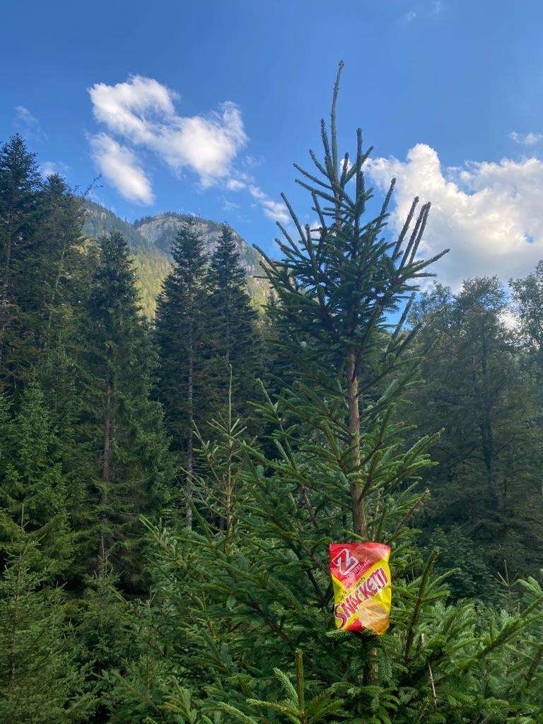 Ludovic.T., Saignegeret / Vallorbe