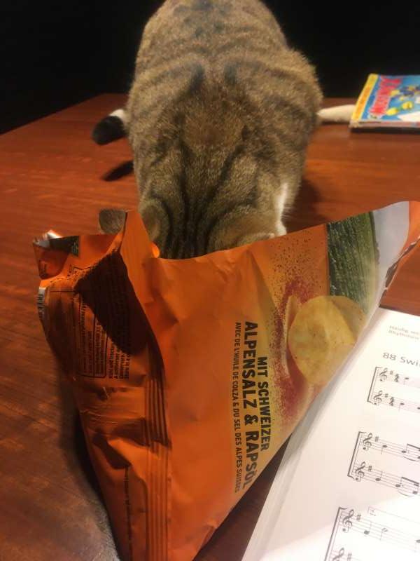 Chao.Y., Niederwil SG