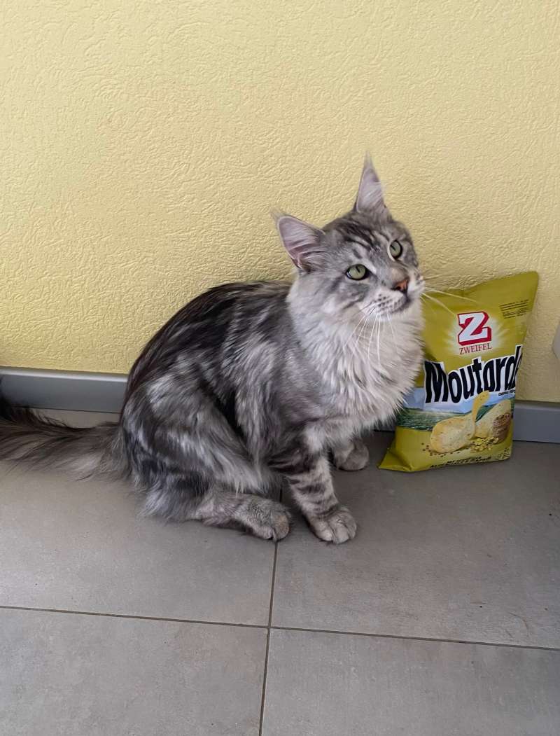 Raymonde.T., Domicile