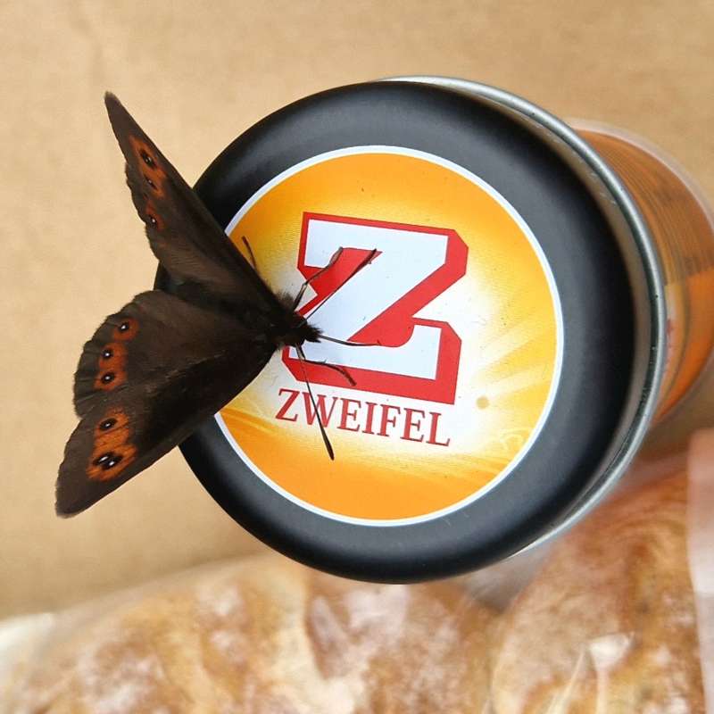 Susanne.R., Lai Nair, Scuol-Tarasp