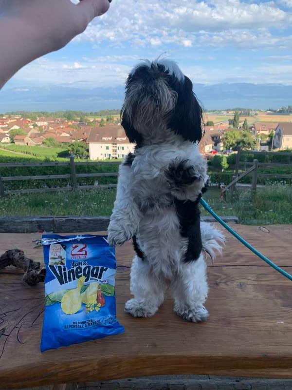 Agathe.C., Gilly vaud