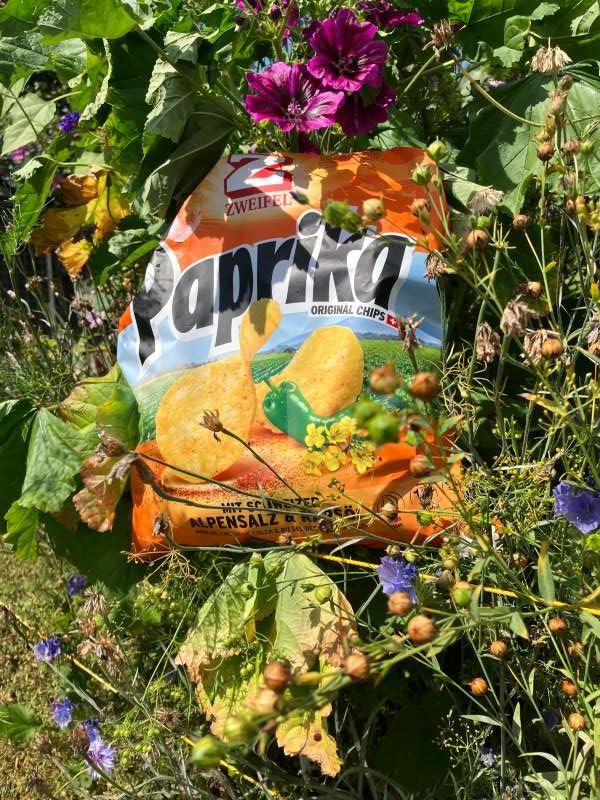 René.G., Zweifel im Blumenbeet