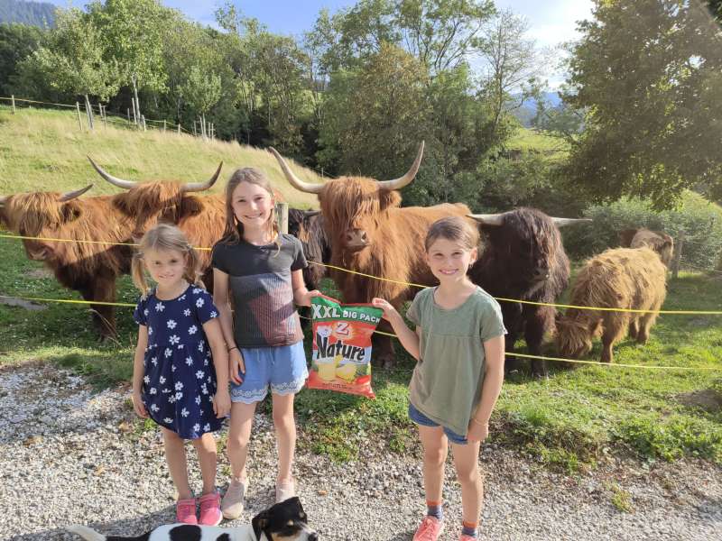 Andrea.H., Guggisberg