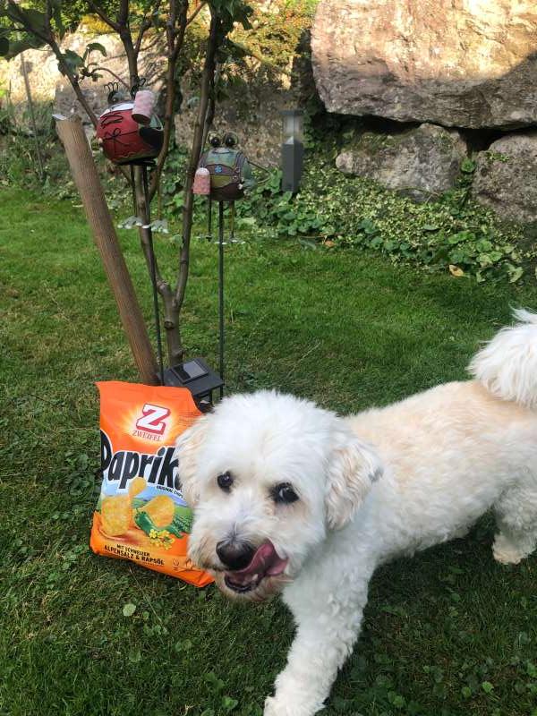 Othmar.Z., Mümliswil