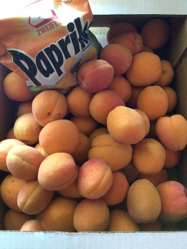 Marie-Jo.V., Morrens