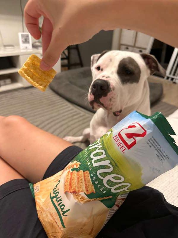 Ana.B., À la maison