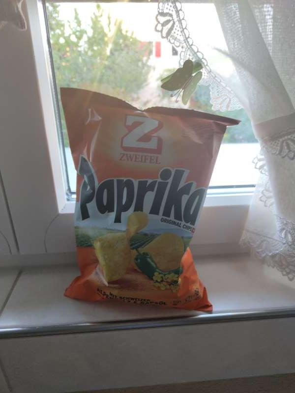 Tobias.H., Garten Neuhausen