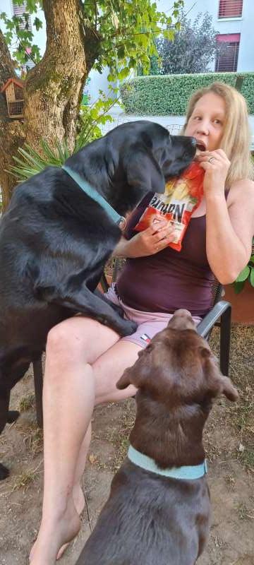 Sascha.Z., Rüdtligen