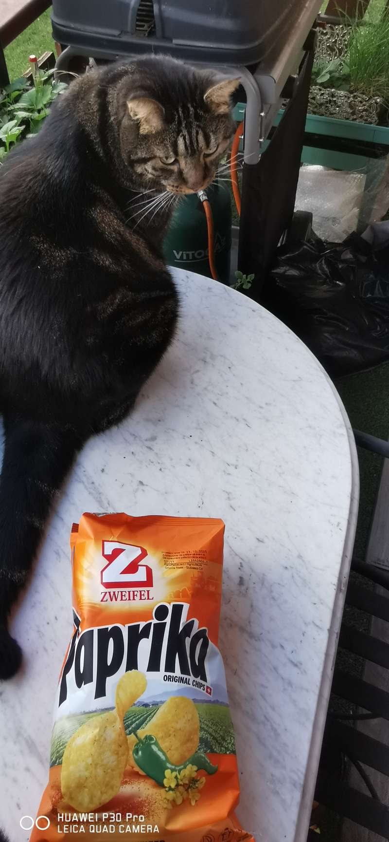 Philippe.B., Corserey