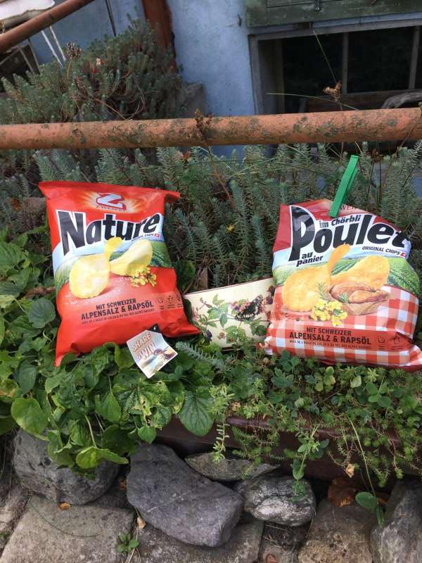 Helen.S., Bei mir im Garten