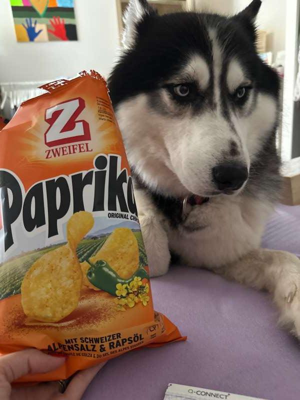 Villdona.G., St.Gallen (zuhause)