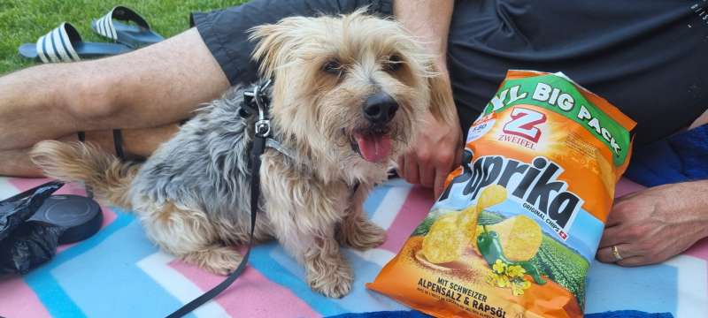 Adriana.R., Rapperswil