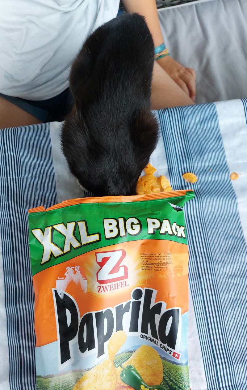 Amandine.D., Mex (vs)