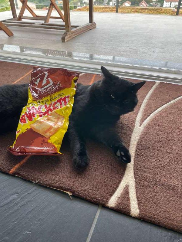 Fabian.T., Courgevaux