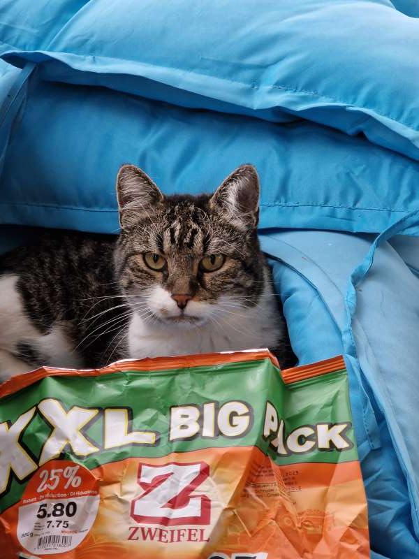 Dominik.N., Zu Hause