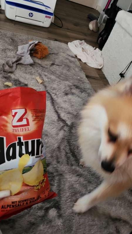 Fátima Marisol.G., Biel/Bienne