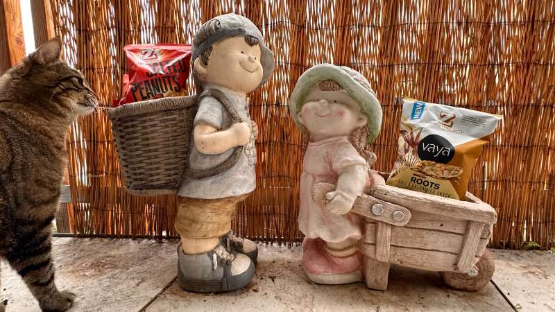 Daniel.D., Disentis/Mustér