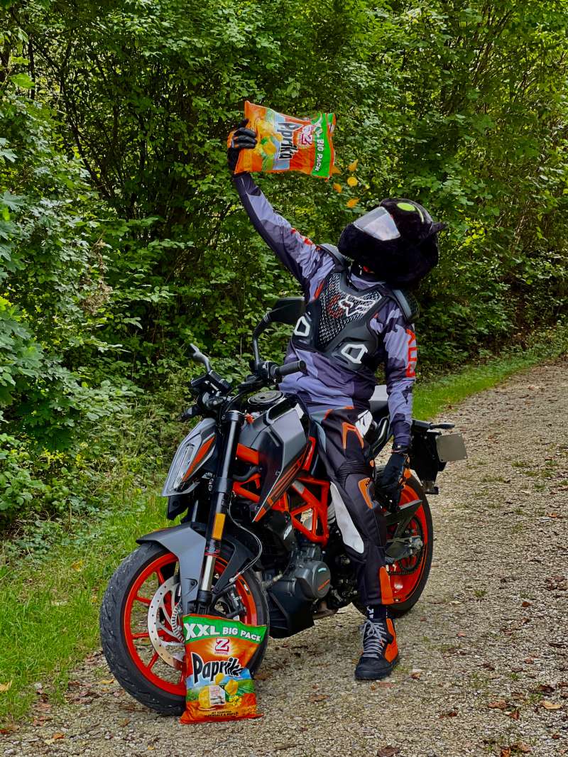 Seal.R., Cholfirst-Wald in Feuerthalen