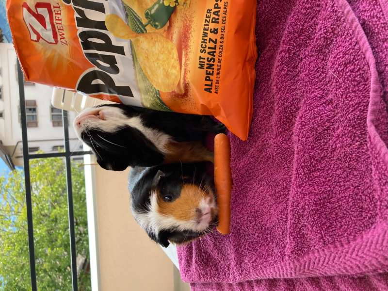 Karin.E., Tim E.Grüsch